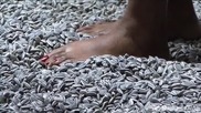 Ai Weiwei`s Sunflower Seeds At The Tate Modern / Слънчогледовите семена на Ай Вейвей в Тейт Модерн