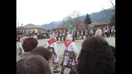 Mvi_0783