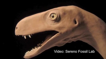 Най - бързите, малки и сладки динозаври 