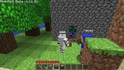 Minecraft Multiplayer Fun