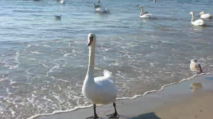 Varna - Black Sea Coast today 015
