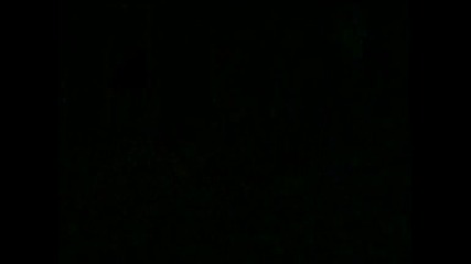 tmnt epizod 9 bg audio 1 3