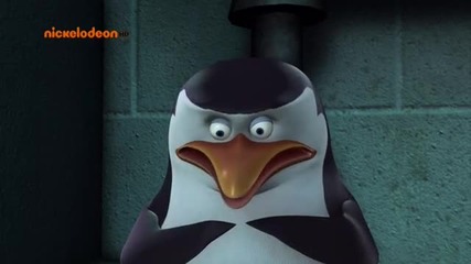 Пингвините от Мадагаскар - 1x08 - Всичко за пингвините (бг аудио) Hq