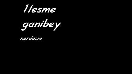 1lesme Nerdesin