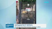 Куче нахапа 16-годишно момиче и уби домашния му любимец в Нови Искър