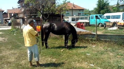 4ernata krasavica