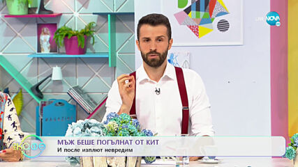 Мъж беше погълнат от кит и после изплют невредим - „На кафе” (15.06.2021)