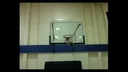youtube.youtube - Basketball insane tricks ! 