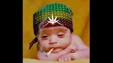 marihuana.wmv