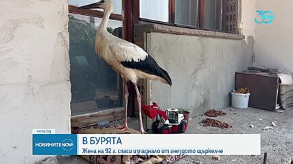 Новините на NOVA (23.07.2024 - следобедна емисия)