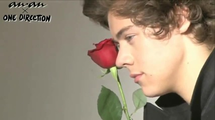 Harry Styles - Bullet train