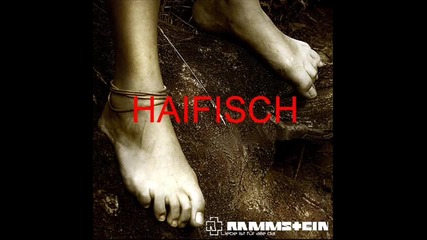 ~ Rammstein - Haifisch ( Liebe Ist Fur Alle Da Album ) ~