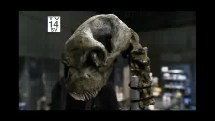 V - s02e01 4/4 части 