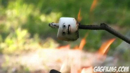 убиване на бели бомбони (marshmallows) 