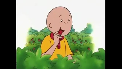 caillou Goes Strawberry Picking
