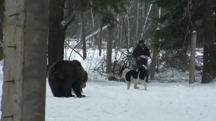 Състезание на Лайки