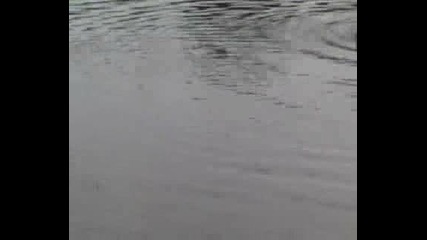 Апорт от вода - хилка на 3 - ри месеца ...!