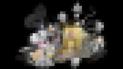 Diddl