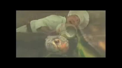 да те прецака костенурка (смях)
