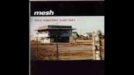 Mesh - What Does It Cost You
