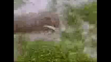 Malko Lisi4e