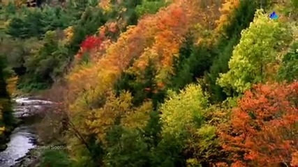The Autumn Soothing