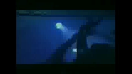Bedrock - Heaven Scent