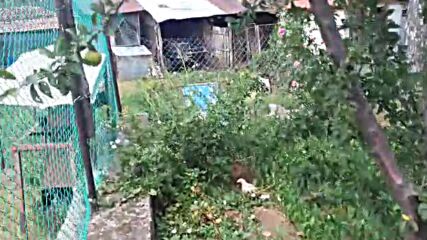 Sidetli Ruzgar Esiyor.mp4