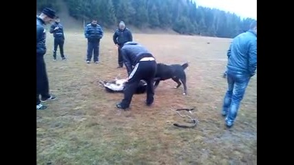 Baron i Kaneto Yundola 2