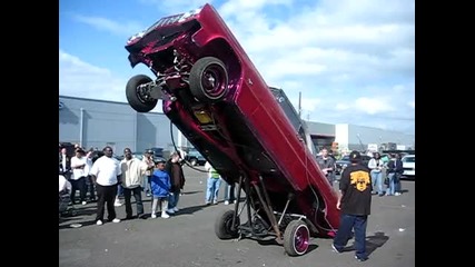 Portland Individuals show 