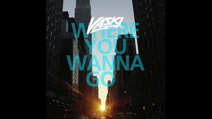 Vaski-where You Wanna Go