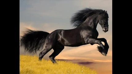 Dance Music Clubbing 2011 -part.2 6 [arabic Oriental ]