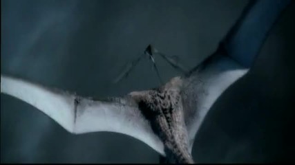 Pedro Del Mar feat Ridgewalke - Tears Of The Dragon