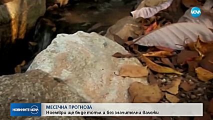 Новините на NOVA (31.10.2018 - следобедна емисия)