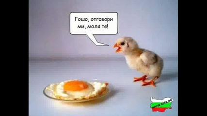 Забавни Снимки