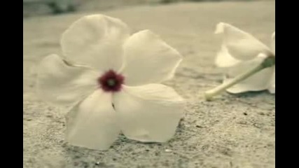 Without You
