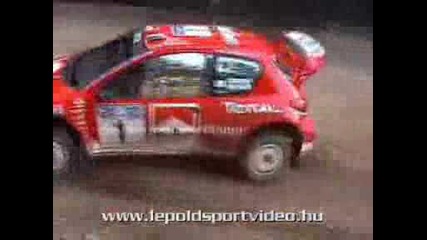 wrc 2003