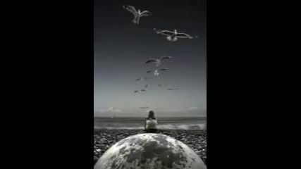 Enigma - Between mind and heart