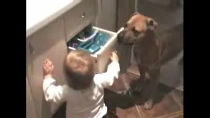 Dog And Baby Girl