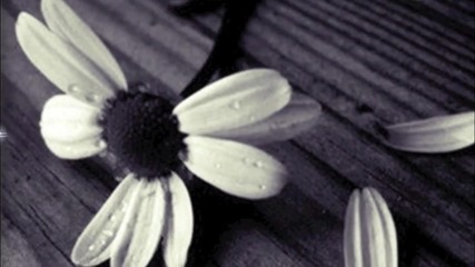 Within Temptation - Our Farewell (lyrics)