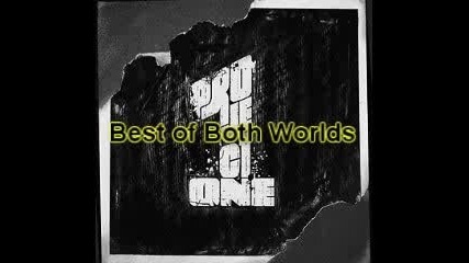 Project One (headhunterz vs Wildstylez) - Best Of Both Worlds 