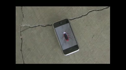 iphone - Cockroaches (хлебарки) 