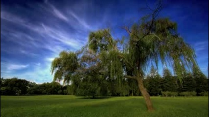 Top 10 Uplifting Trance 2010 ( Best Trance Songs)