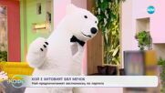 Кой е хитовият бял мечок: На-предпочитаният вестоносец по партита - „На кафе“ (18.06.2025)