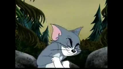 Tom And Jerry