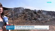 Повече от денонощие продължава борбата с пожара край ломското Ковачица
