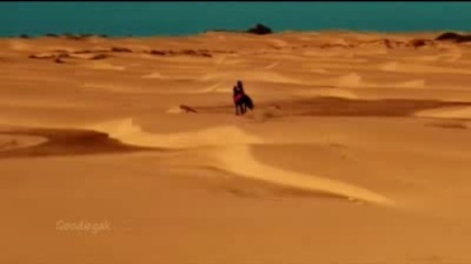 Sahara Essence (instrumental Arabic Music)
