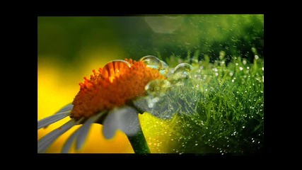 Omar Akram - Falling through the rain Дъжд и капчици дъждовни - релакс