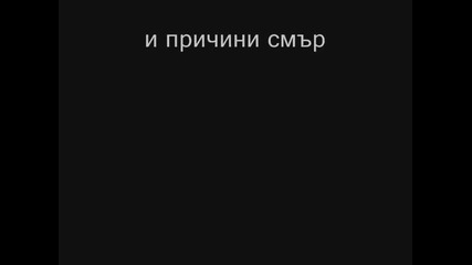 Природни бедствия взеха 300 000 живота през 2010 г. 