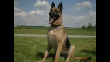 Hemcka Ob4apka